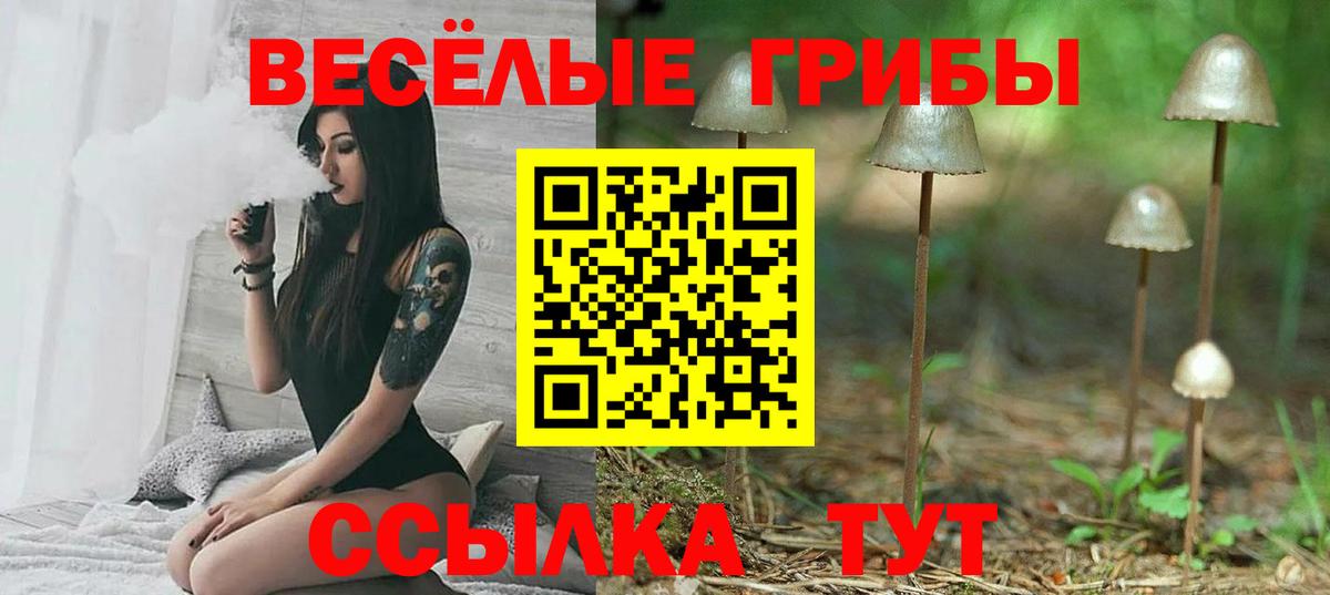 Псилоцибиновые грибы MAGIC MUSHROOMS Чернушка