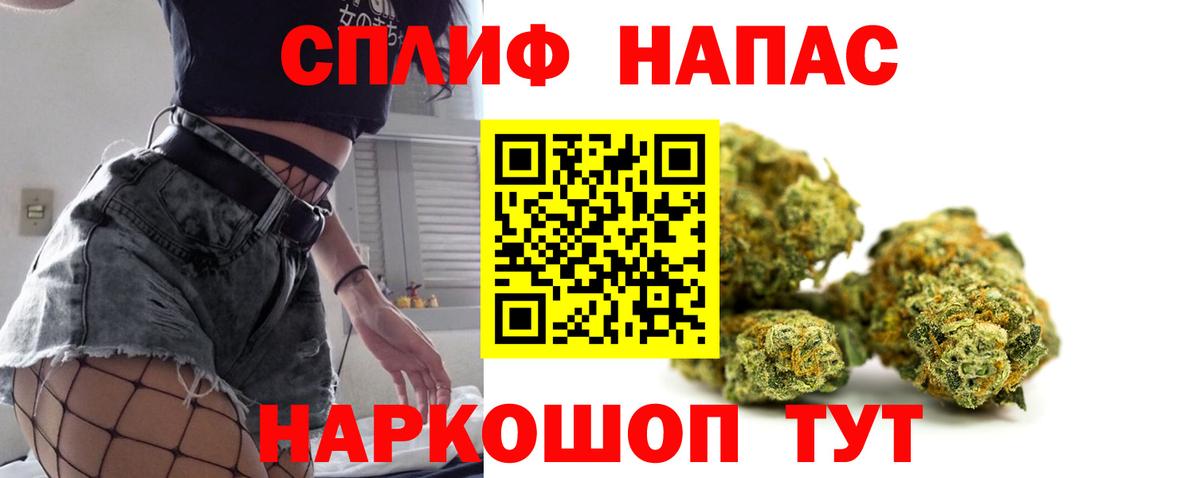 Каннабис гибрид Чернушка